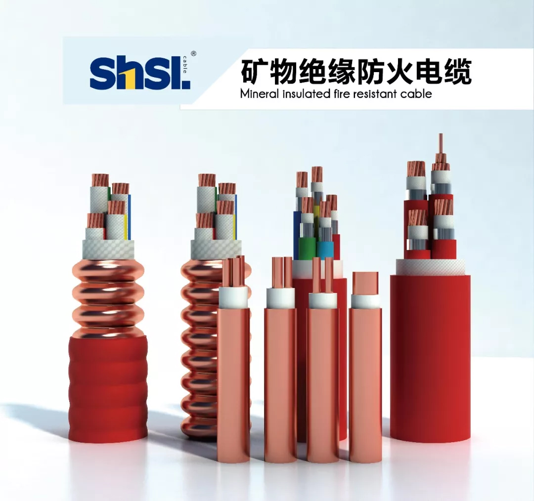 區(qū)政協(xié)主席陳勇章一行蒞臨上海浦東電線(xiàn)電纜集團(tuán)2.jpg